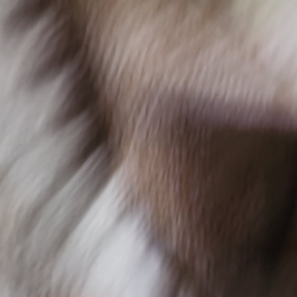 Pink Rose Women's Tan and White Sweater Vest - Picture 4 of 4